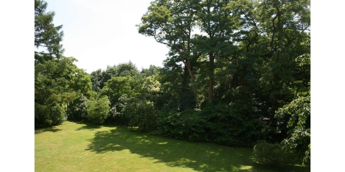 Dachgeschoßwohnung Hamburg Wandsbek - 2 Zimmer, 36 m&sup2;, 545&euro; | Angebot:25922091