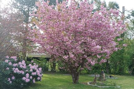 Wohnung Uetersen - 4 Zimmer, 85 m&sup2;, 1.200&euro; | Angebot:25974189