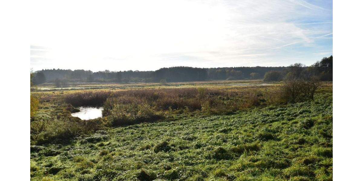 Grundstück Trittau - 795.000&euro; | Angebot:25667204