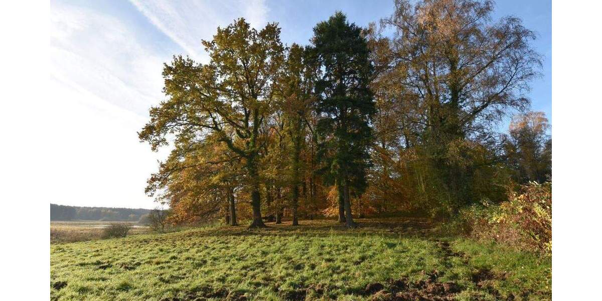 Mehrfamilienhaus, Wohnhaus Trittau - 795.000&euro; | Angebot:25726905