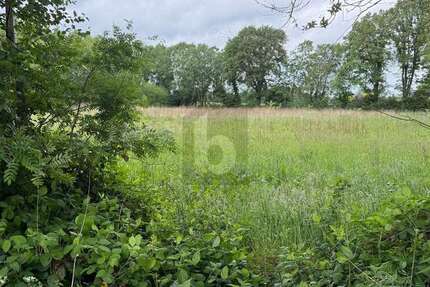 Grundstück Lutzhorn - 350.000&euro; | Angebot:25977426