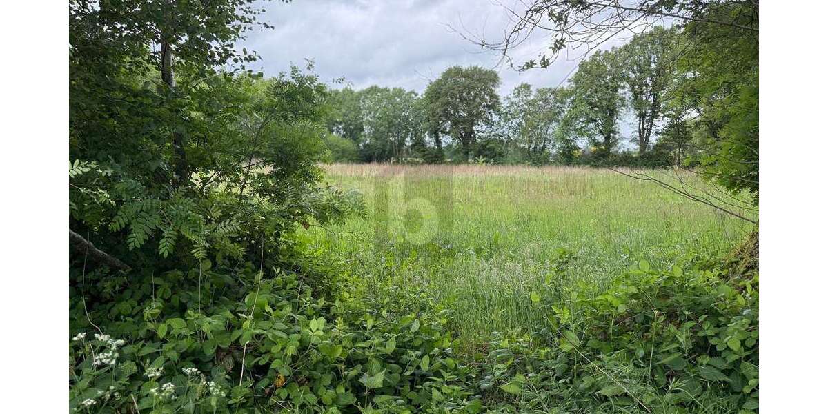 Grundstück Lutzhorn - 350.000&euro; | Angebot:25977426