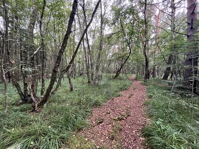 ATTRAKTIV FÜR FREIZEIT ODER IDEAL FÜR PROJEKTIERER - Grundstück Pinneberg | Angebot:25412668