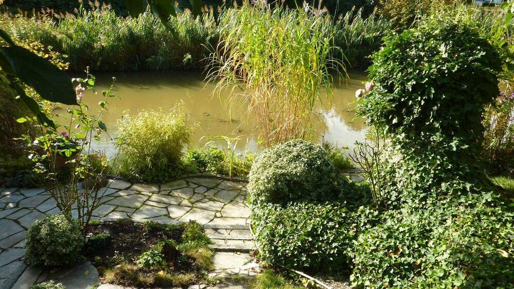 Einfamilienhaus Hamburg Allermöhe - 6 Zimmer, 166 m&sup2;, 575.000&euro; | Angebot:25820822