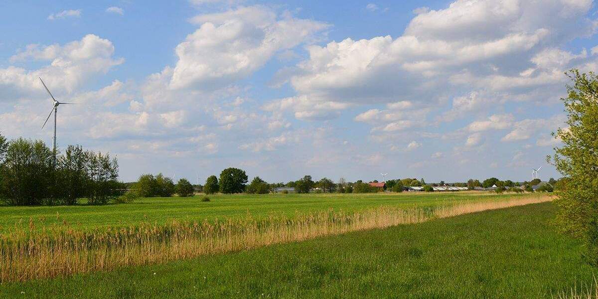 Bungalow Schleswig-Holstein Tangstedt - 4 Zimmer, 101 m&sup2;, 1.550&euro; | Angebot:25773859