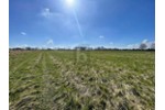 GROßE FLÄCHE MIT VIELSEITIGER NUTZUNG - Grundstück Oststeinbek | Angebot:27190523