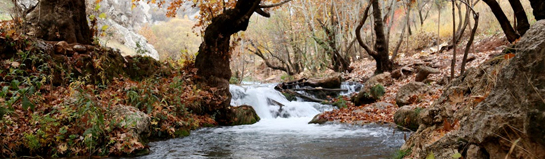 ARRIBA Erlebnisbad Sauna Norderstedt Hallenbad
