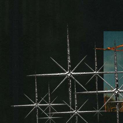 Aries 19.05.2026 The Triffid