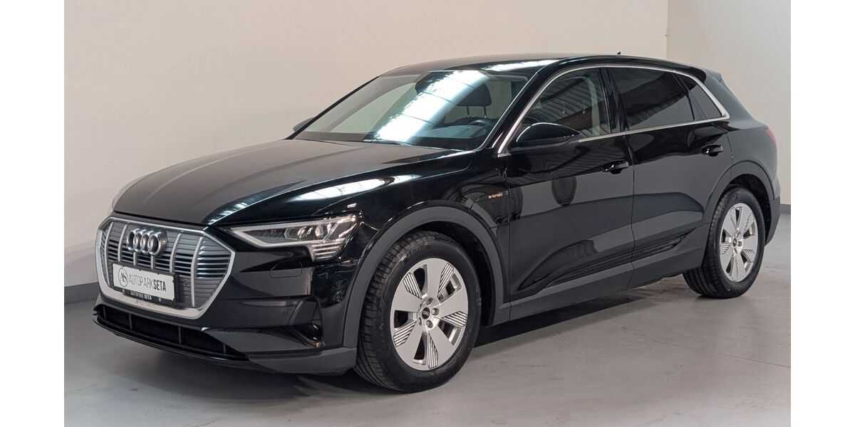 Audi e-tron 39.890 km 26.975 &euro; Ellerhoop bei Hamburg 25373