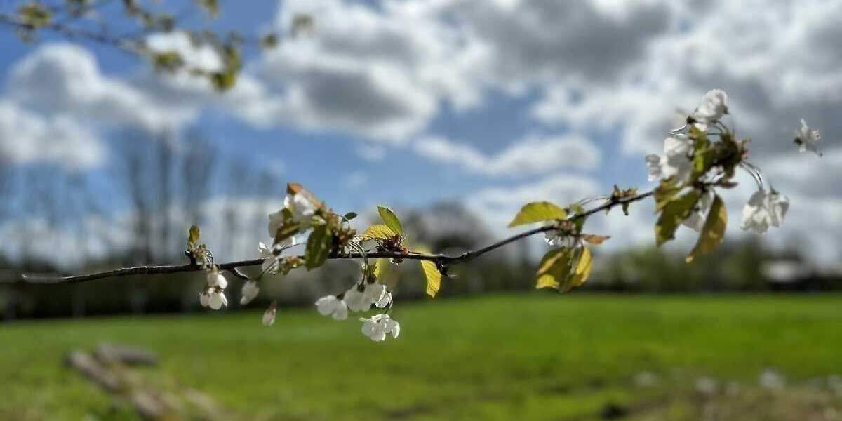 Grundstück Kisdorf - 439.900&euro; | Angebot:25704063