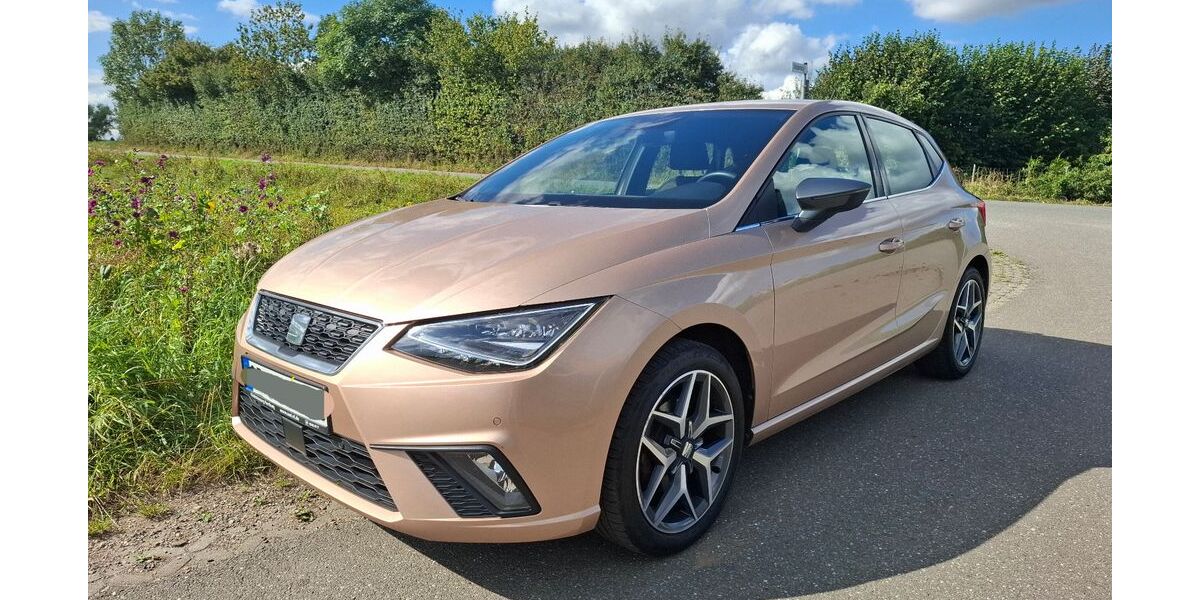 Seat Ibiza 95.850 km 10.999 &euro; Pölitz 23847