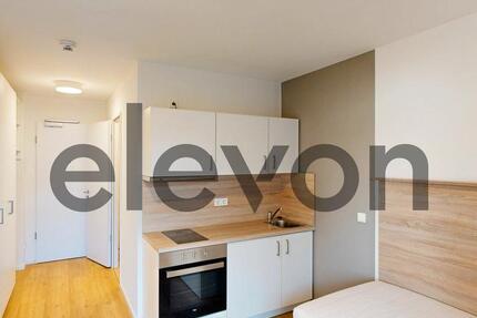 Wohnung Hamburg Hamburg-Mitte - 1 Zimmer, 19 m&sup2;, 670&euro; | Angebot:26505141