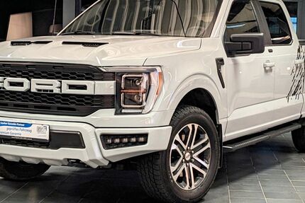 Ford F 150 54.780 km 52.987 &euro; Kaltenkirchen 24568