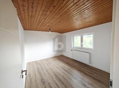 IHRE BESSERE HÄLFTE MIT 2 WOHNEINHEITEN - Doppelhaushälfte Steinburg | Angebot:25879822