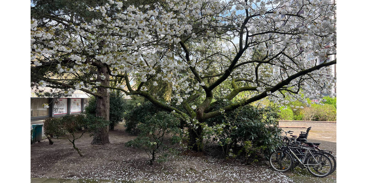 Etagenwohnung Hamburg Wandsbek - 1 Zimmer, 48 m&sup2;, 194.000&euro; | Angebot:25802020