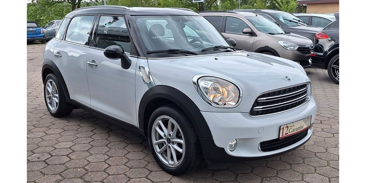 Mini Cooper Countryman 131.169 km 9.899 &euro; Stapelfeld 22145