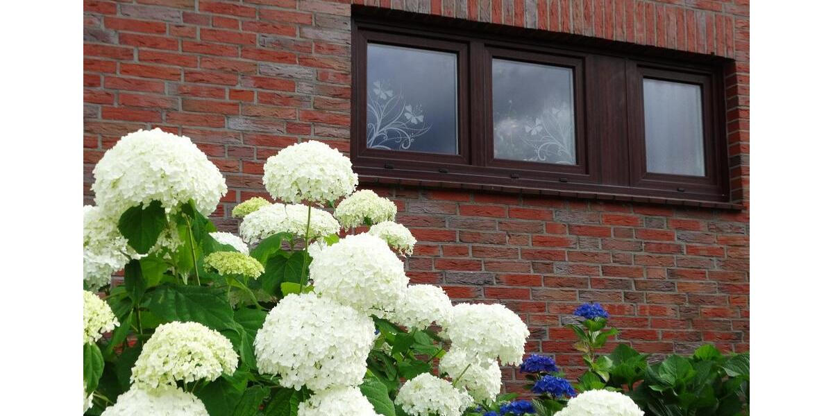 Einfamilienhaus Trittau - 4 Zimmer, 120 m&sup2;, 500.000&euro; | Angebot:26056554