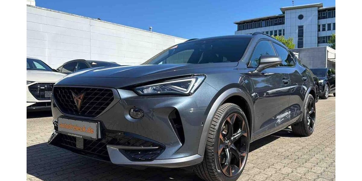 Cupra Formentor 19.471 km 26.950 &euro; Hamburg 22047