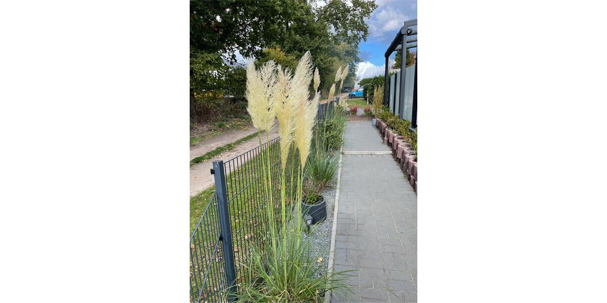 Einfamilienhaus Itzstedt - 89.000&euro; | Angebot:26020808