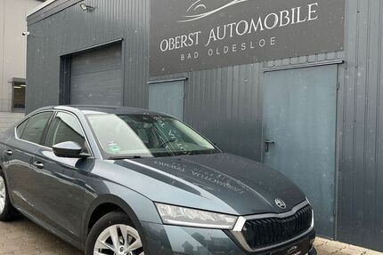 Skoda Octavia 165.174 km 13.450 &euro; Bad Oldesloe 23843