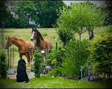 Doppelhaushälfte Uetersen - 4 Zimmer, 130 m&sup2;, 375.000&euro; | Angebot:25950807