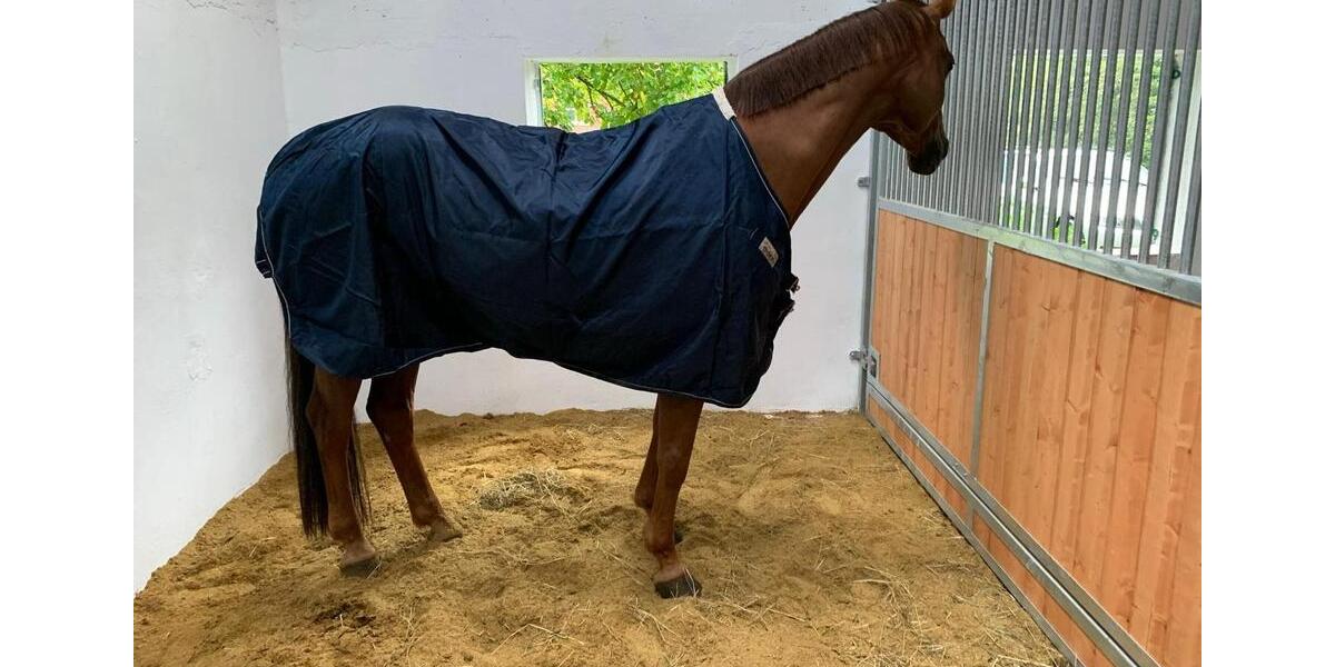 Hochparterre Jork - 5.5 Zimmer, 135 m&sup2;, 1.800&euro; | Angebot:25936098