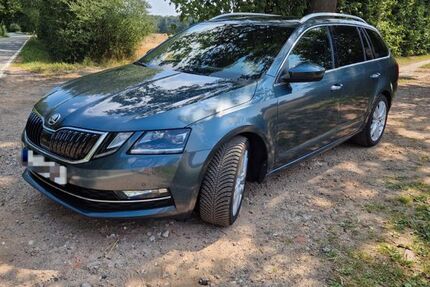 Skoda Octavia 132.000 km 16.499 &euro; Steinburg 22964