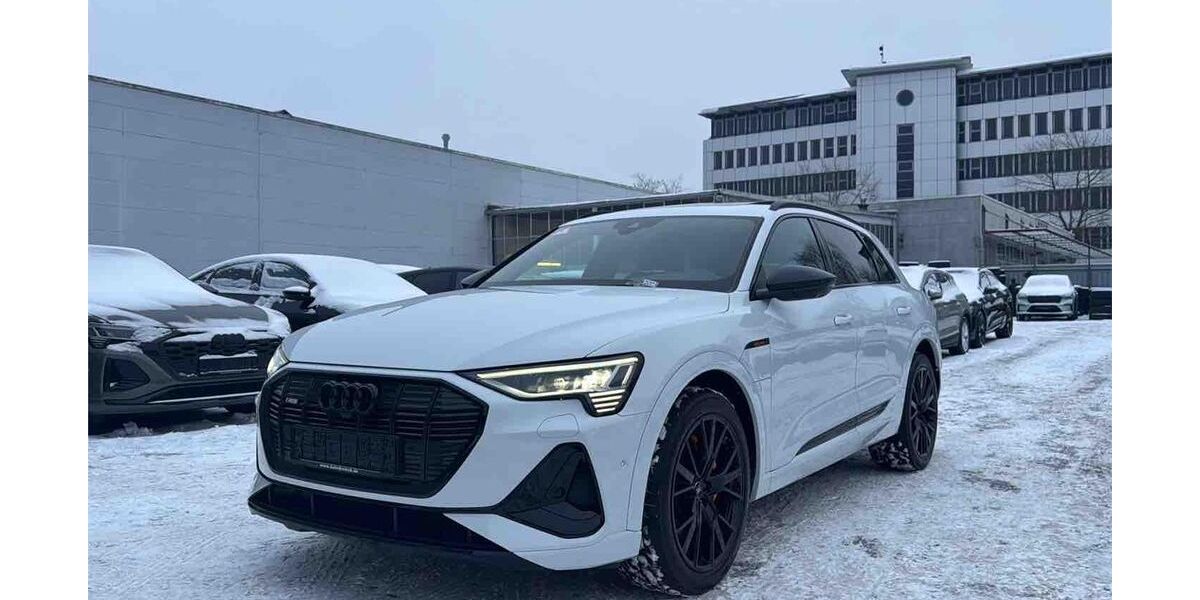 Audi e-tron 49.158 km 33.950 &euro; Hamburg 22047