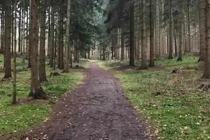 Wohnung Hamburg Borgfelde - 1 Zimmer, 20 m&sup2;, 500&euro; | Angebot:25364606