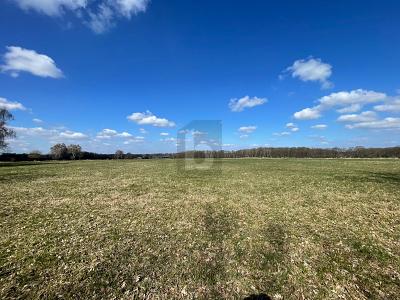 GROßE FLÄCHE MIT VIELSEITIGER NUTZUNG - Grundstück Oststeinbek | Angebot:26035365