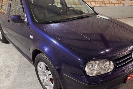 VW Golf 142.000 km 3.650 &euro; Hamburg 21079