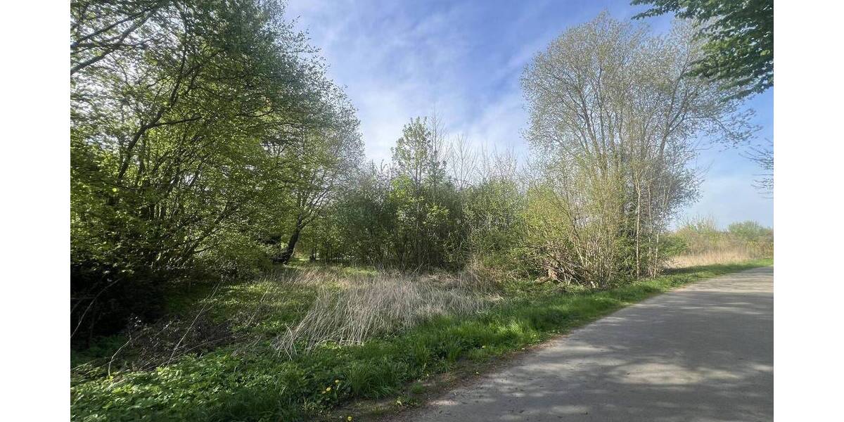 Grundstück Bebensee - 30.000&euro; | Angebot:25670820