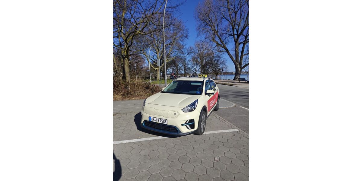 Kia Niro EV 163.055 km 13.500 &euro; Hamburg 22119