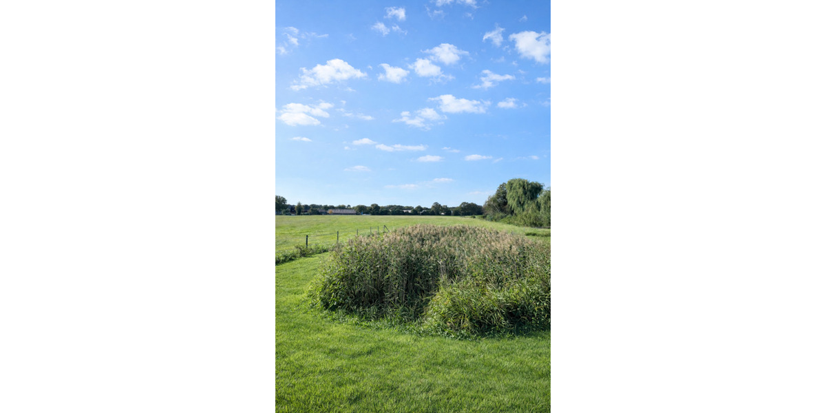 Dachgeschoßwohnung Tangstedt - 4 Zimmer, 200 m&sup2;, 749.000&euro; | Angebot:25416653