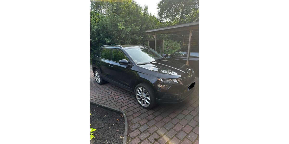 Skoda Karoq 148.000 km 17.900 &euro; Bokel 25364