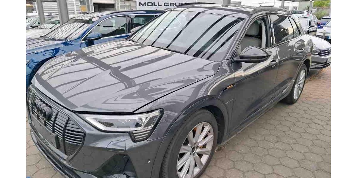 Audi e-tron 96.667 km 32.950 &euro; Hamburg 22047