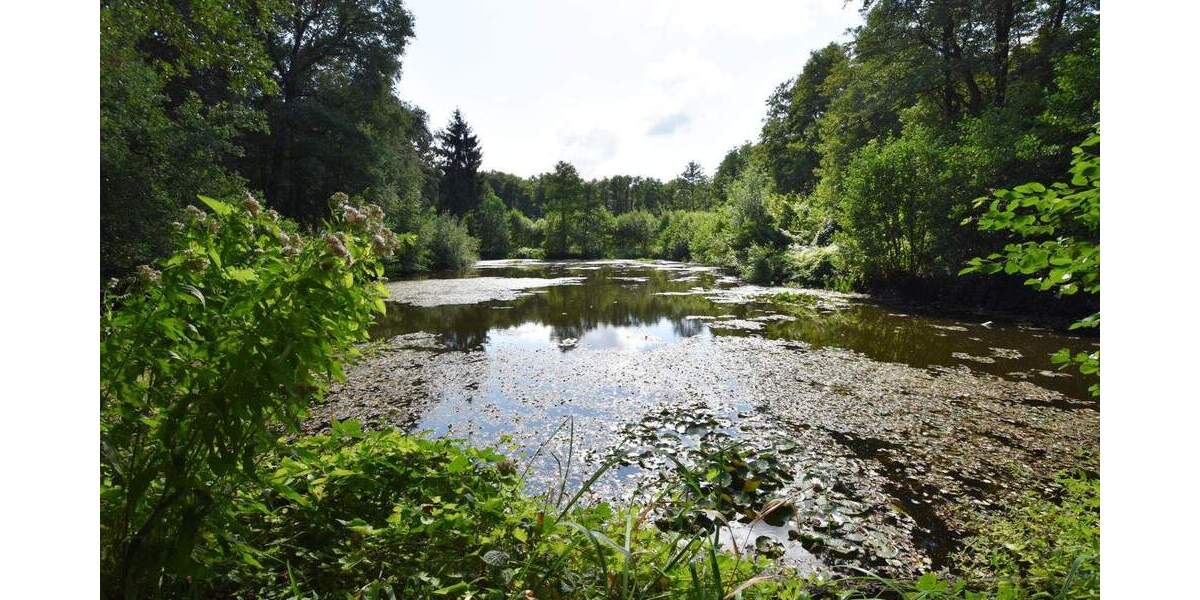 Grundstück Rausdorf - 129.000&euro; | Angebot:25726908