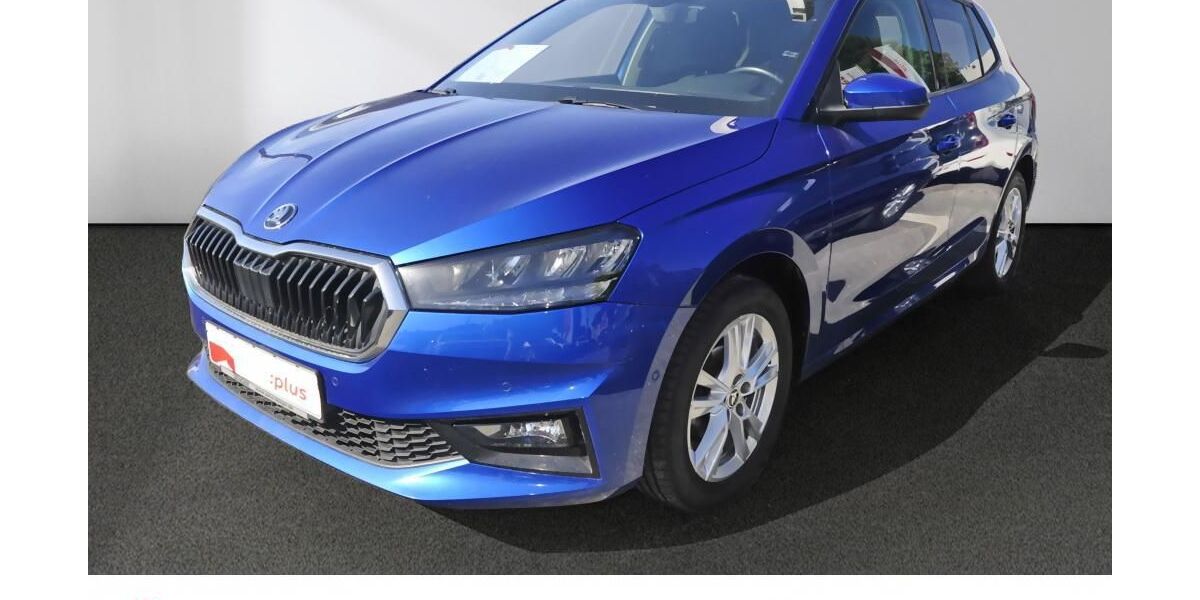 Skoda Fabia 45.750 km 16.480 &euro; Bad Oldesloe 23843