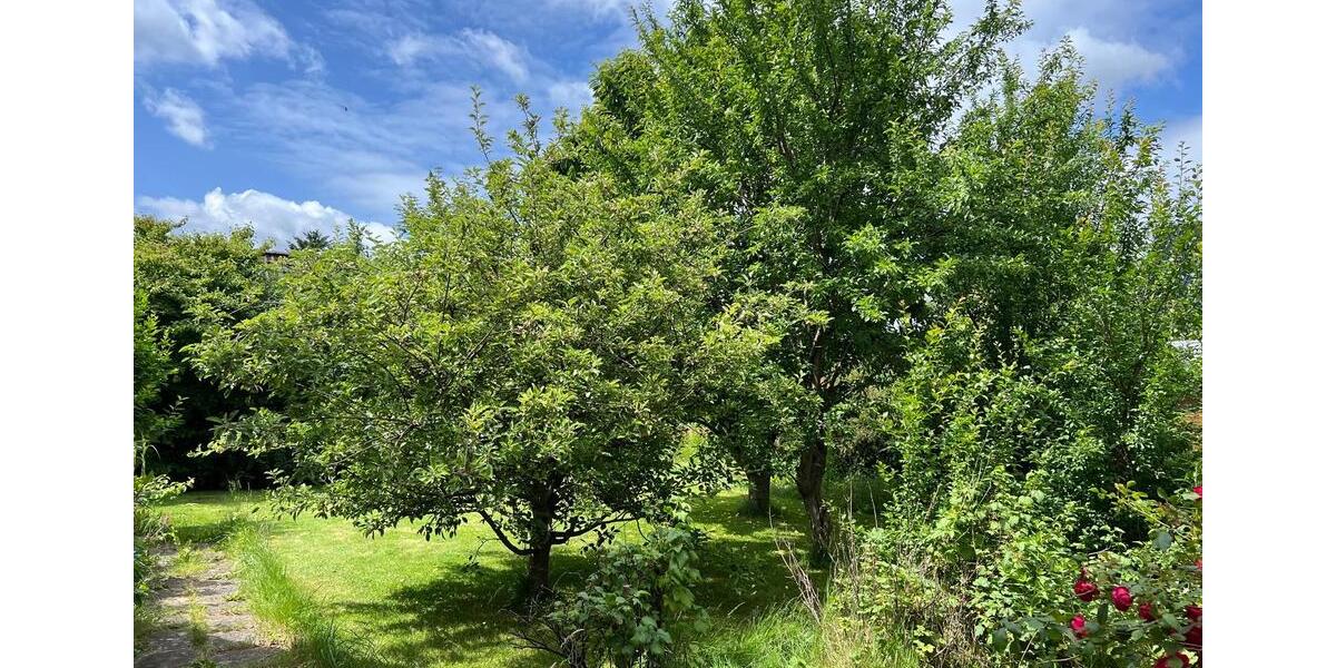 Einfamilienhaus Tangstedt - 5 Zimmer, 100 m&sup2;, 390.000&euro; | Angebot:26649022