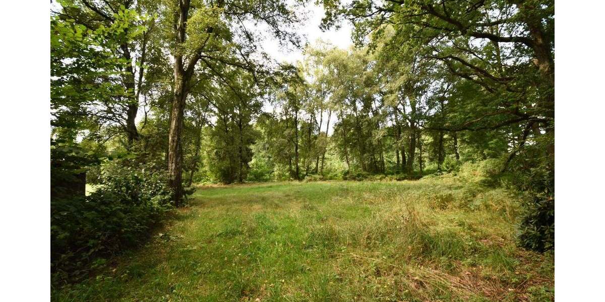 Grundstück Rausdorf - 129.000&euro; | Angebot:25726908