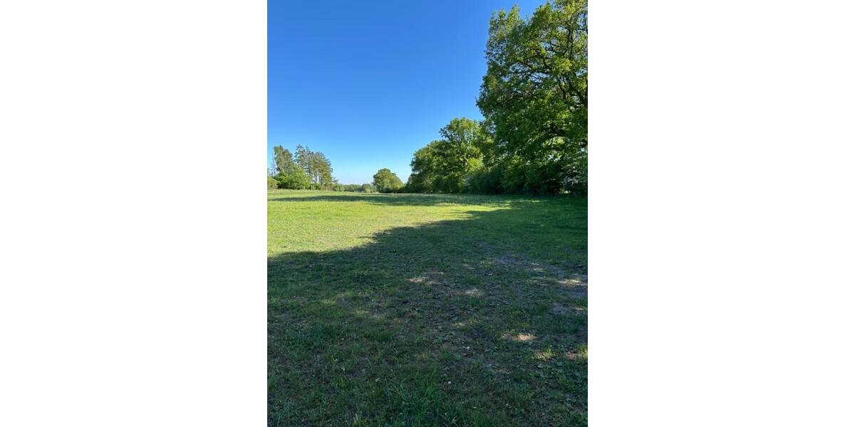 Einfamilienhaus Kaltenkirchen - 10 Zimmer, 300 m&sup2;, 689.930&euro; | Angebot:25167127