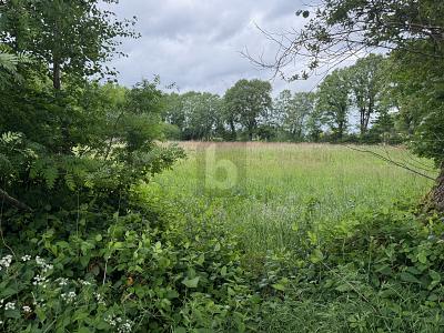 IDEAL FÜR FREIZEIT IN DER NATUR - Grundstück Lutzhorn | Angebot:25939973