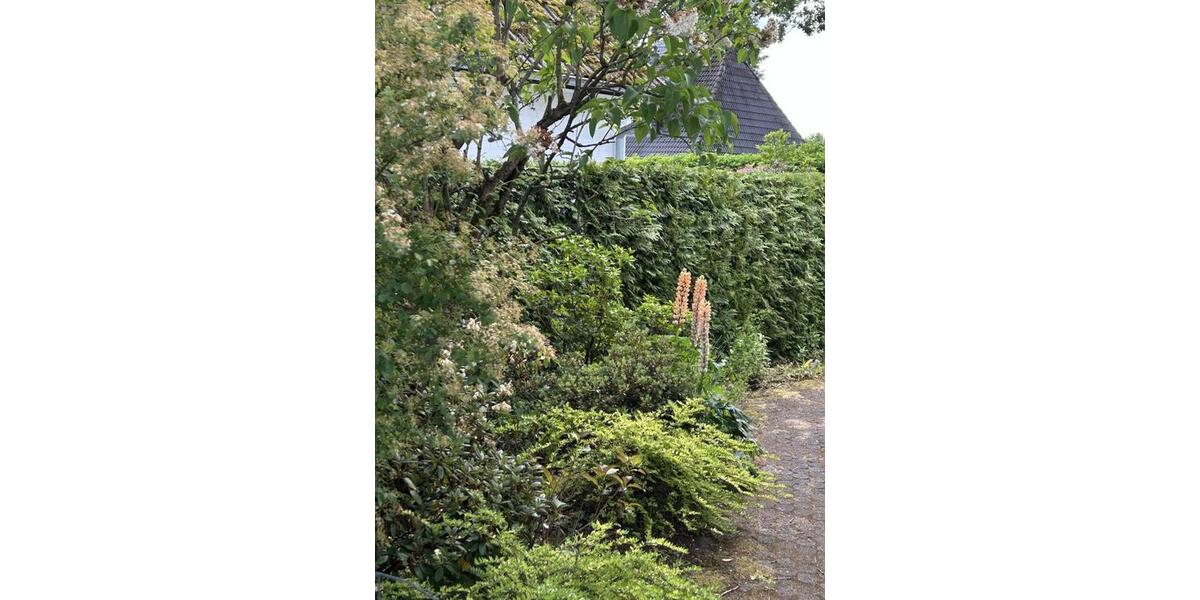 Doppelhaushälfte Hamburg Wandsbek - 4 Zimmer, 100 m&sup2;, 750.000&euro; | Angebot:25793314