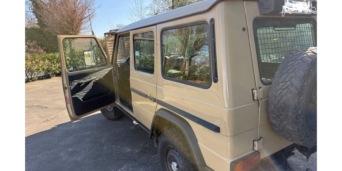 Mercedes-Benz G 300 243.000 km 65.000 &euro; Elmshorn 25335