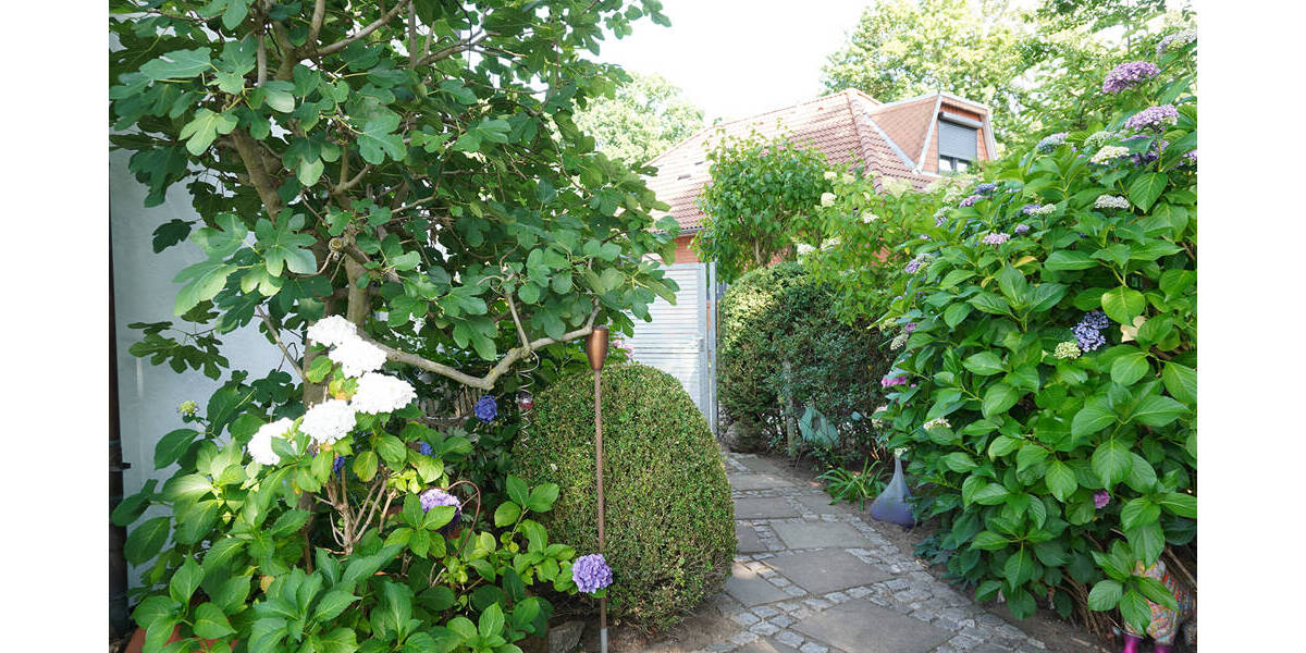 Einfamilienhaus Hamburg Lohbrügge - 4 Zimmer, 154 m&sup2;, 649.000&euro; | Angebot:25730106