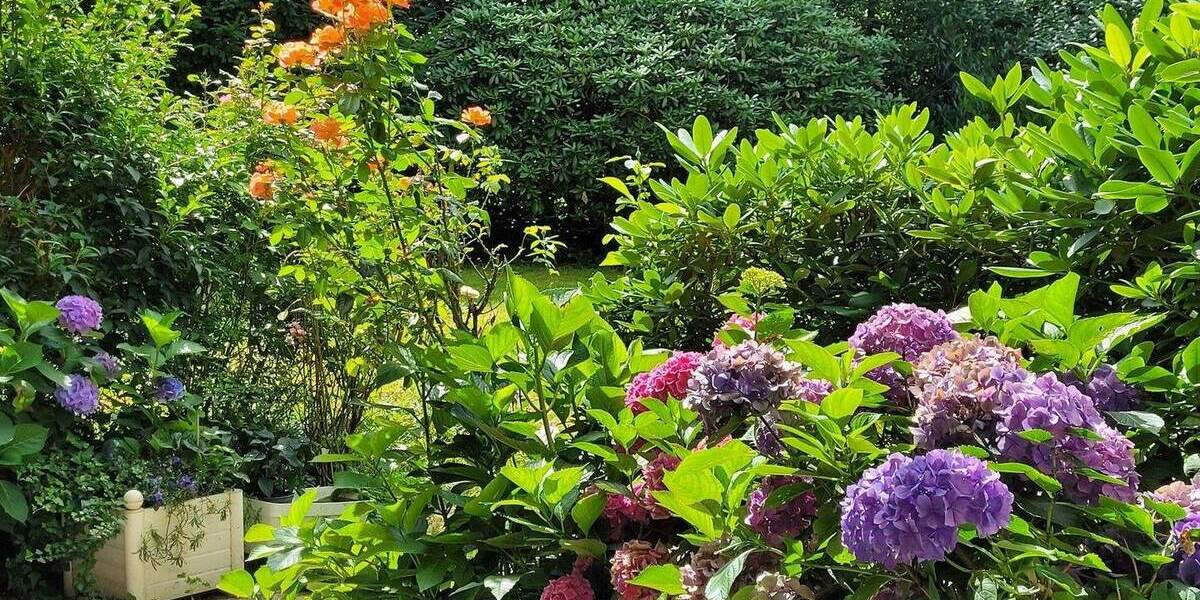 Etagenwohnung Hamburg OT Nienstedten Osdorf - 2 Zimmer, 80 m&sup2;, 515.000&euro; | Angebot:25783196