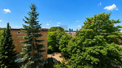 WOHLFÜHLEN MIT BALKON & TIEFGARAGE - Etagenwohnung Hamburg Eilbek Eilbek | Angebot:27321549