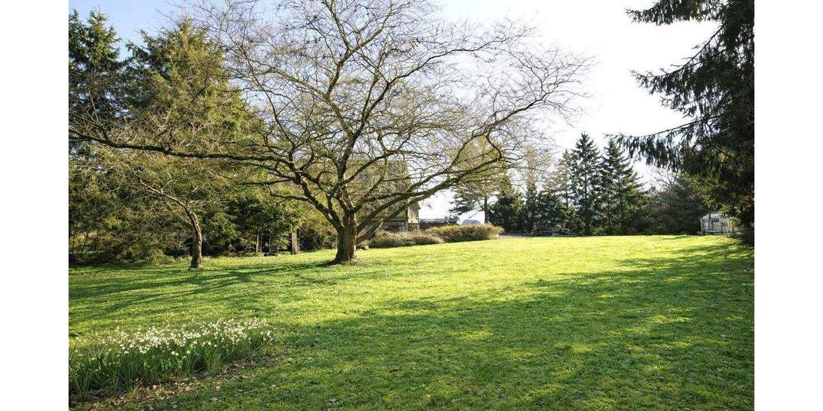 Einfamilienhaus Hamburg-Tatenberg Tatenberg - 6 Zimmer, 200 m&sup2;, 950.000&euro; | Angebot:25822018