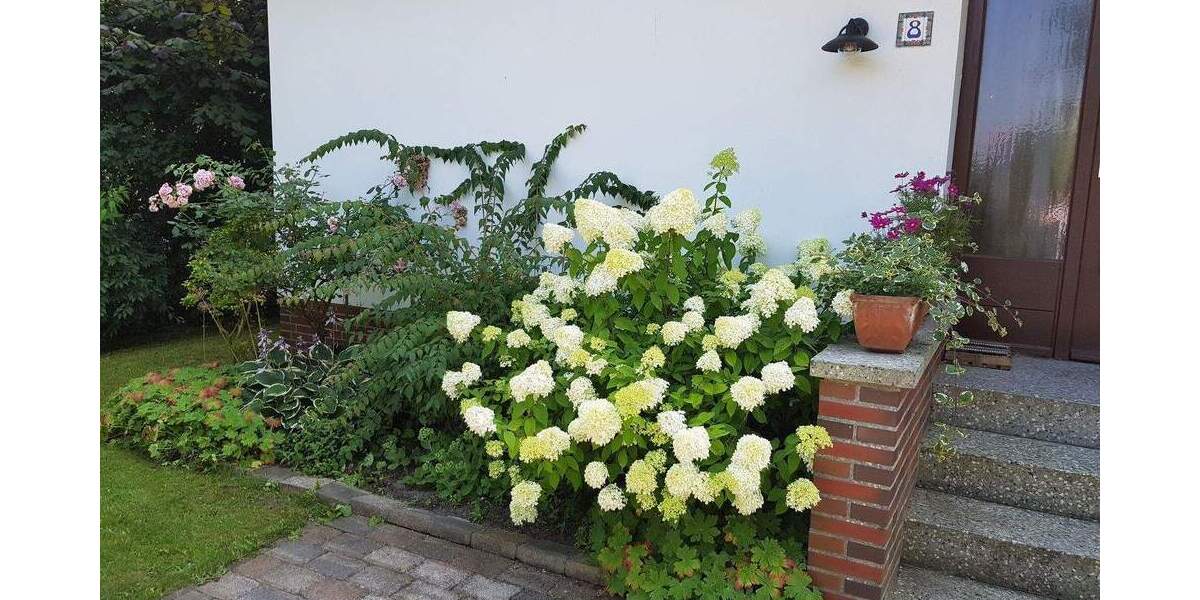 Einfamilienhaus Hetlingen - 4 Zimmer, 110 m&sup2;, 399.000&euro; | Angebot:25775578