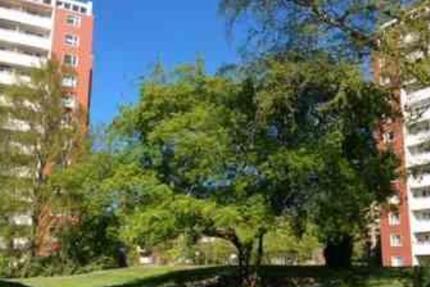 Wohnung Pinneberg - 1 Zimmer, 32 m&sup2;, 380&euro; | Angebot:25910791